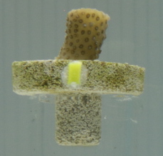 Figure 27a: Overhead lighting of nub S2-1.